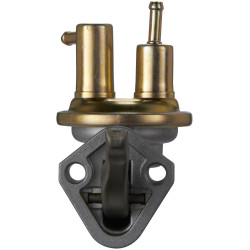 Pompe à essence CARTER M6191 | US Pièces Autos