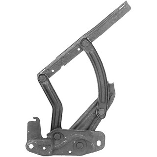 Compas de capot ER 3910668 | US Pièces Autos