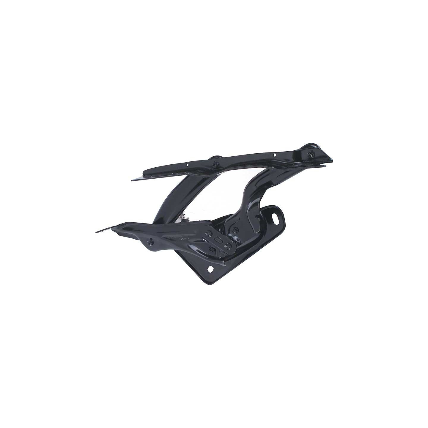 Compas de capot OER T70328 | US Pièces Autos