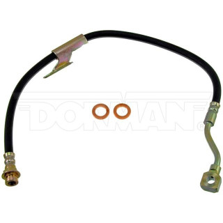 Flexible avant gauche DORMAN H38620    