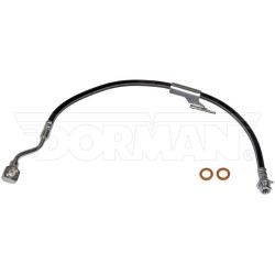 Flexible avant droit DORMAN H38621    