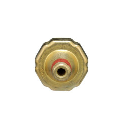 Sonde de pression d'huile SMP PS15 | US Pièces Autos