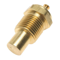 Sonde de température d'eau SMP TS6