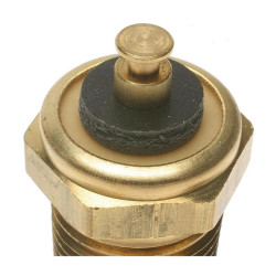 Sonde de température d'eau SMP TS6