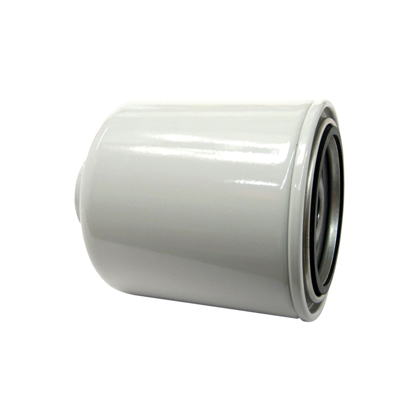 Filtre à gasoil ACDELCO TP1289 | US Pièces Autos