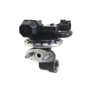 Vanne EGR Ford EGV1045 | US Pièces Autos