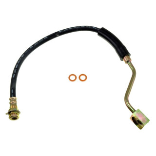 Flexible avant droit DORMAN H36983 