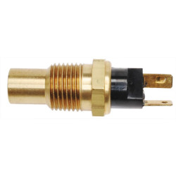 Sonde de température d'eau SMP TS49 