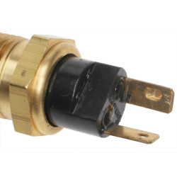 Sonde de température d'eau SMP TS49 