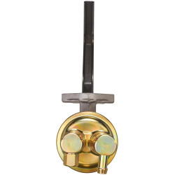 Pompe à essence CARTER M6962 